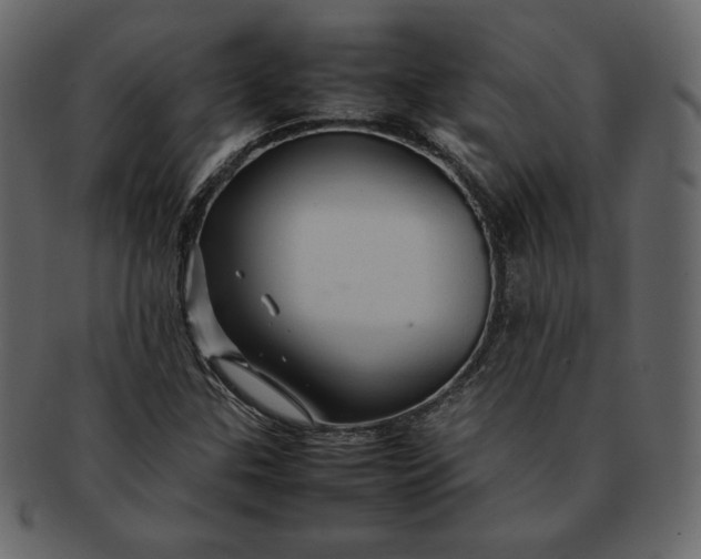 X0000092281307200710051136