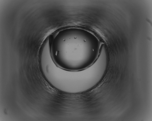 X0000092281308200710051136