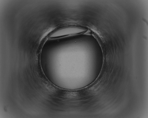 X0000092281309200710051136