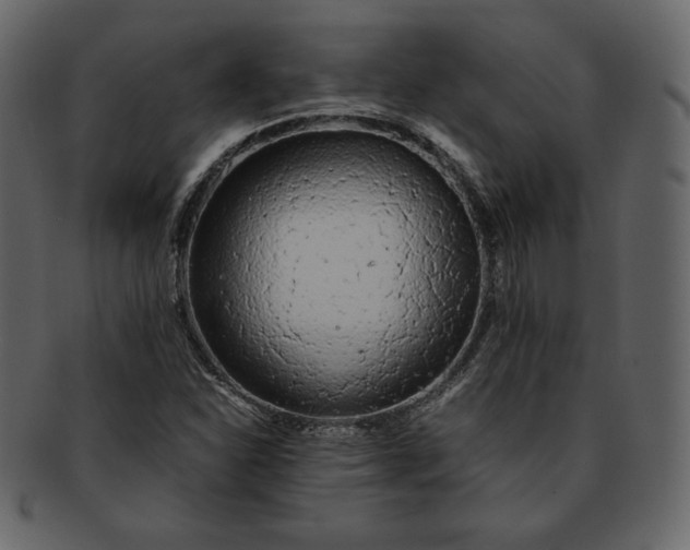 X0000092281310200710051136