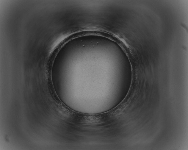 X0000092281311200710051136