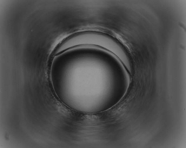 X0000092281312200710051136