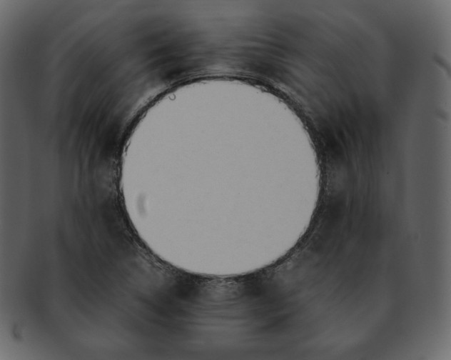 X0000092281314200710051136