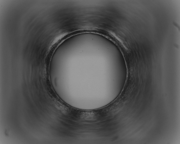 X0000092281315200710051136