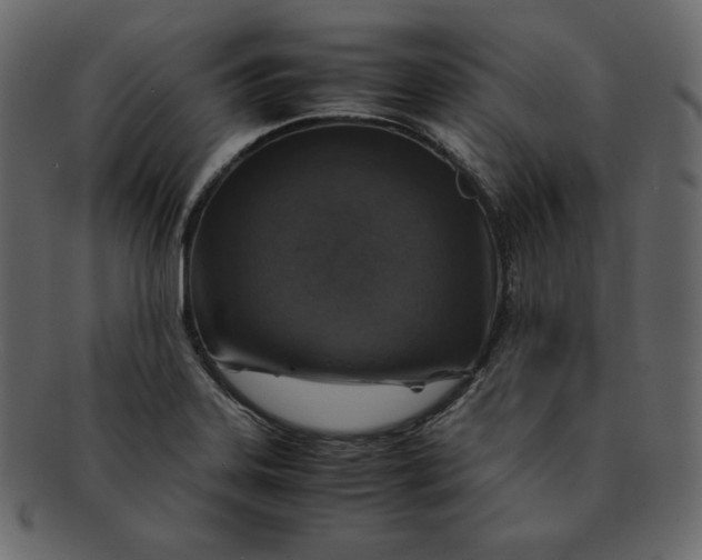 X0000092281323200710051136