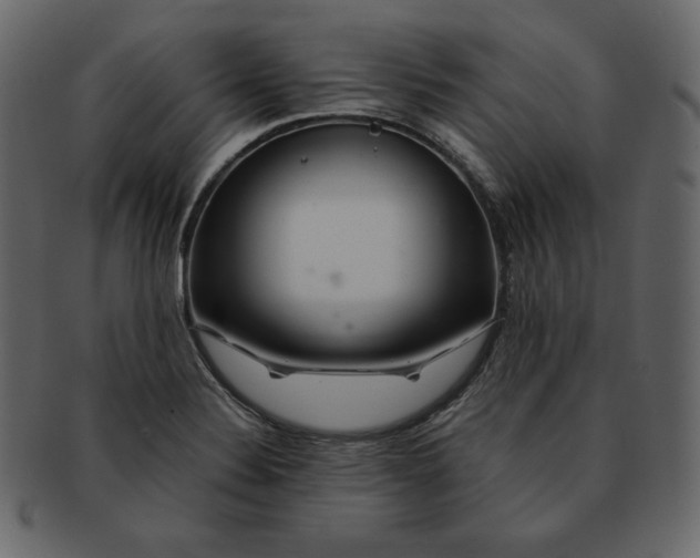 X0000092281324200710051136