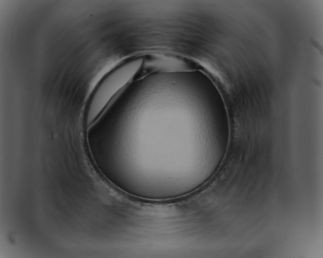 X0000092281325200710051136