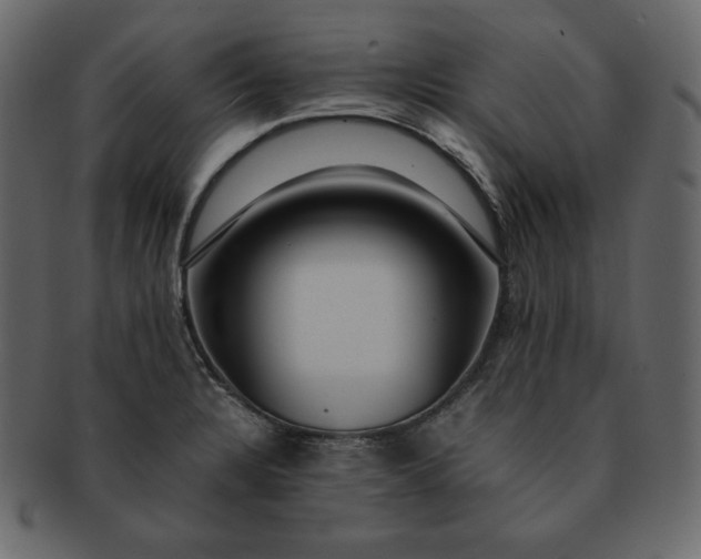 X0000092281328200710051136