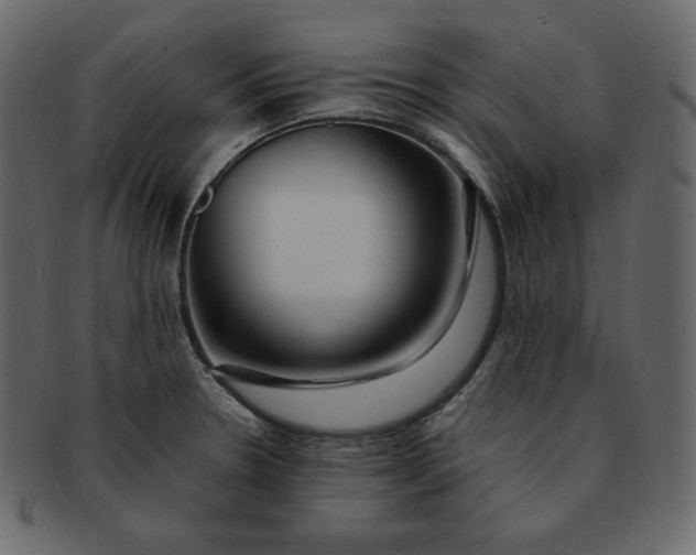 X0000092281330200710051136