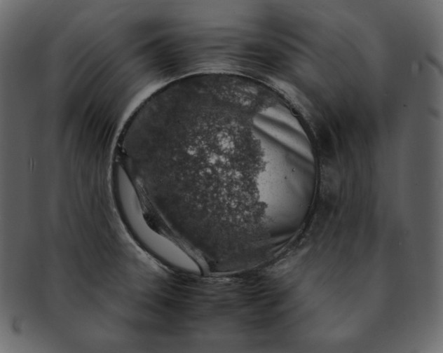 X0000092281331200710051136