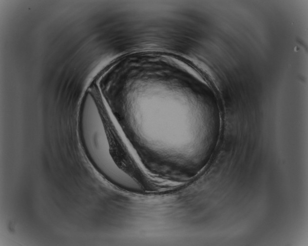 X0000092281333200710051136