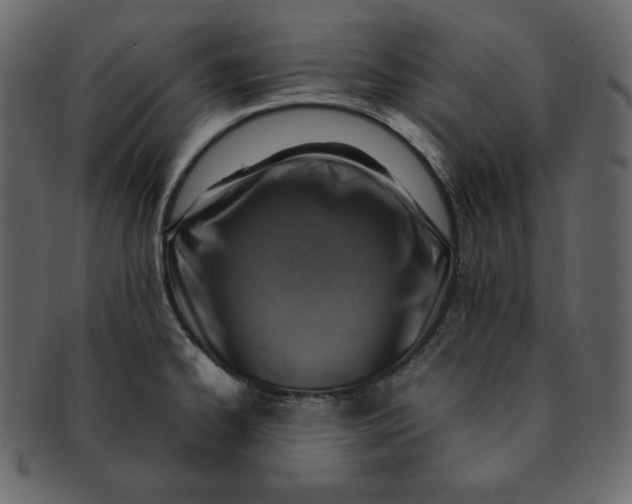 X0000092281334200710051136