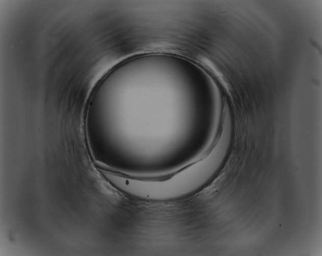 X0000092281336200710051136