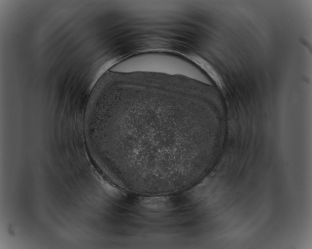 X0000092281337200710051136