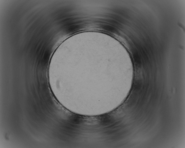 X0000092281338200710051136