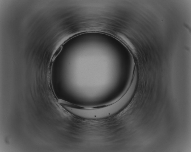 X0000092281340200710051136