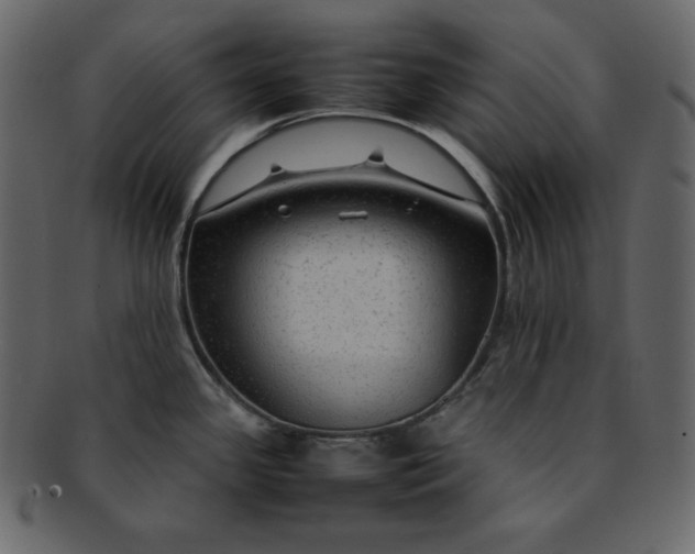 X0000092281341200710051136