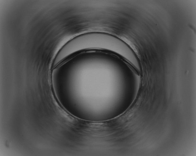 X0000092281342200710051136