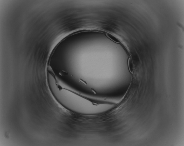 X0000092281343200710051136