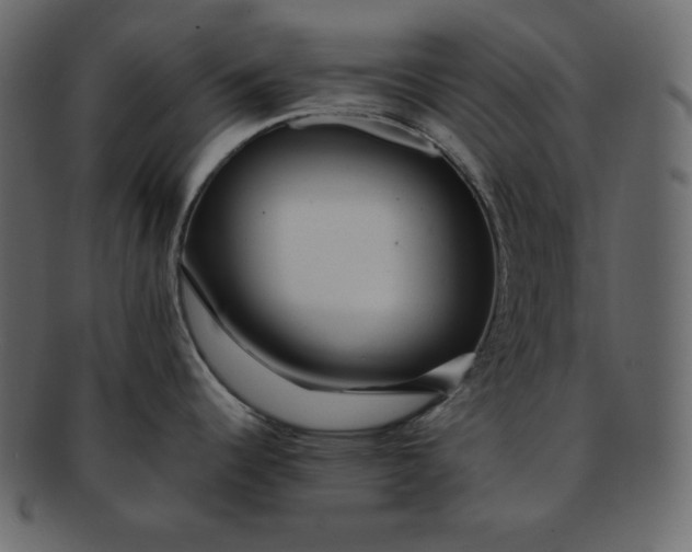 X0000092281344200710051136