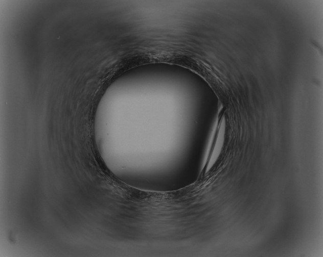 X0000092281345200710051136