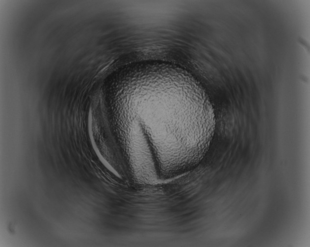 X0000092281346200710051136