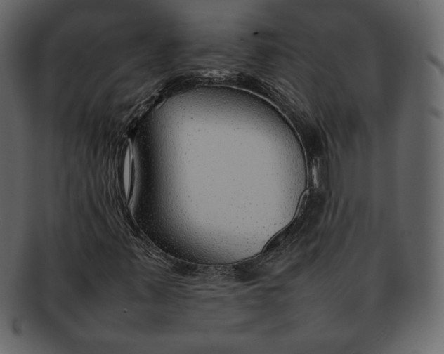 X0000092281347200710051136