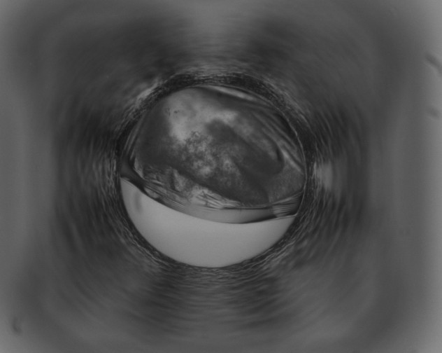 X0000092281348200710051136