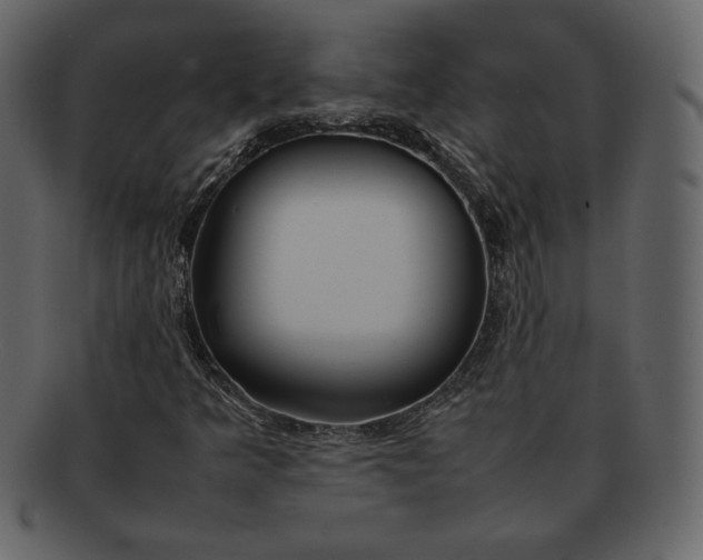 X0000092281349200710051136