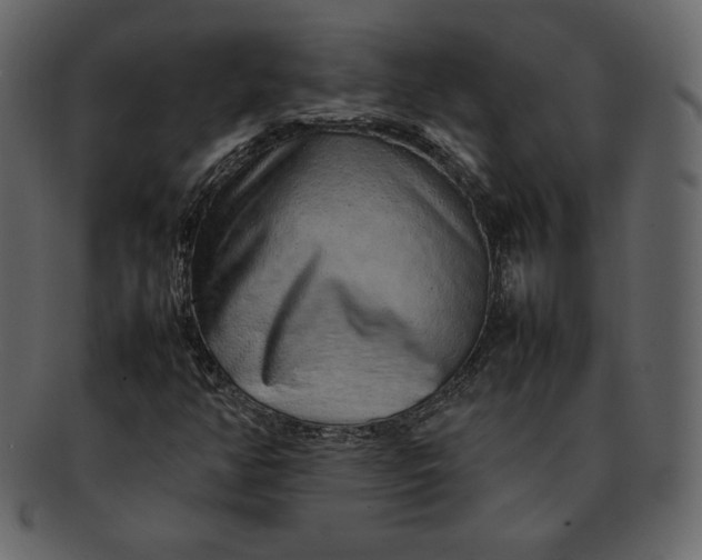 X0000092281350200710051136