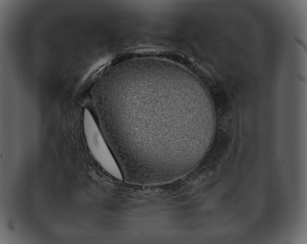 X0000092281351200710051136