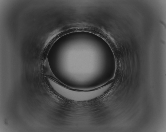 X0000092281352200710051136