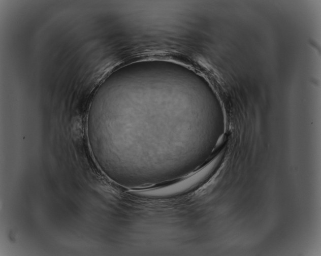 X0000092281353200710051136