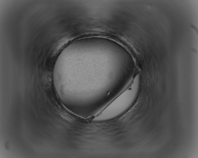 X0000092281355200710051136