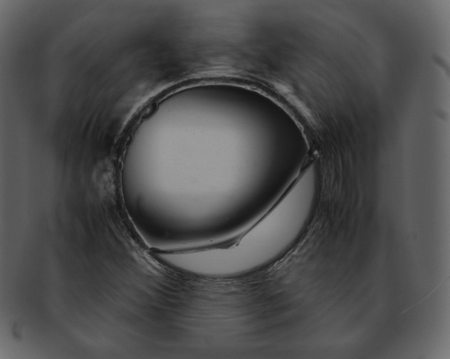 X0000092281356200710051136