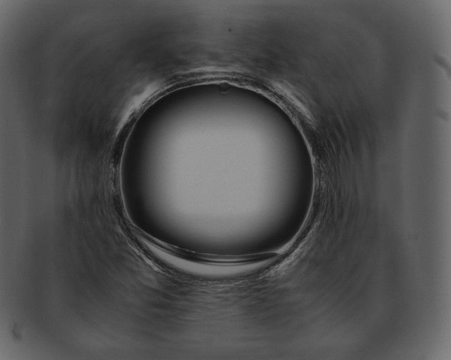 X0000092281357200710051136