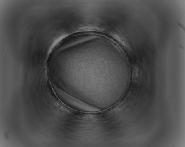 X0000092281358200710051136