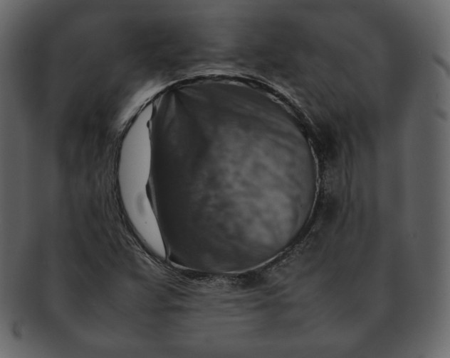 X0000092281359200710051136