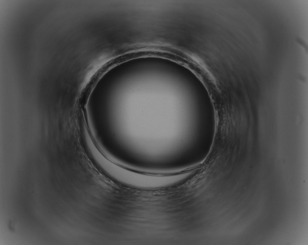 X0000092281360200710051136