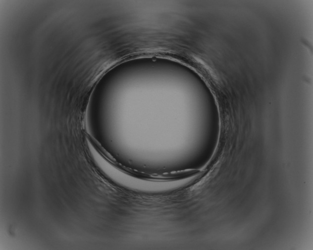 X0000092281361200710051136