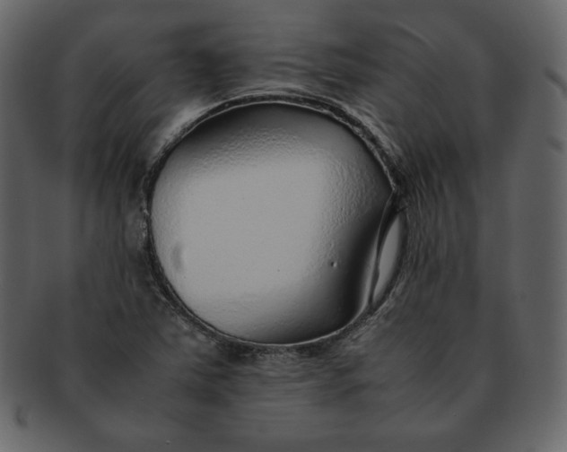 X0000092281363200710051136