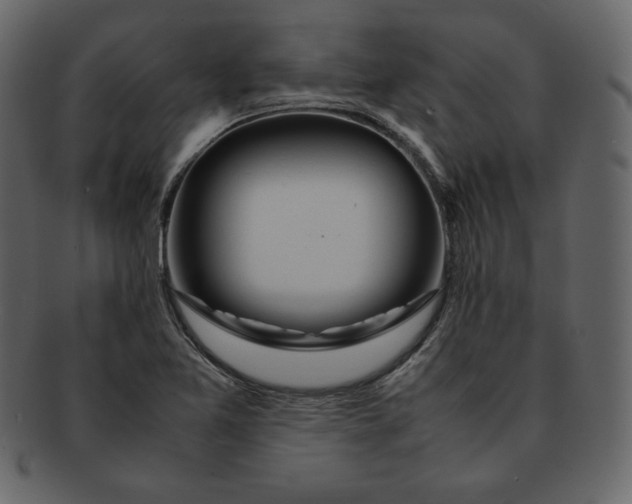 X0000092281365200710051136