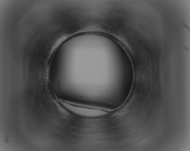 X0000092281366200710051136