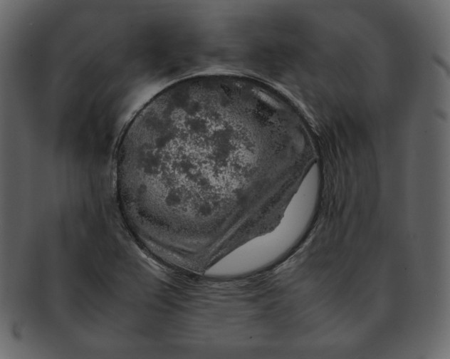 X0000092281367200710051136