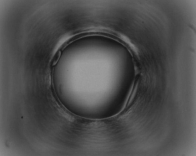 X0000092281368200710051135