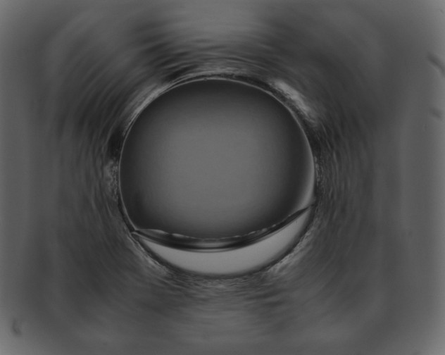 X0000092281369200710051135