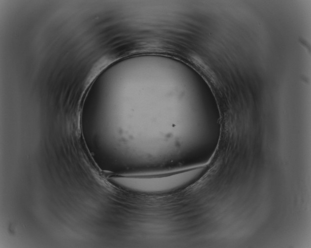 X0000092281370200710051135