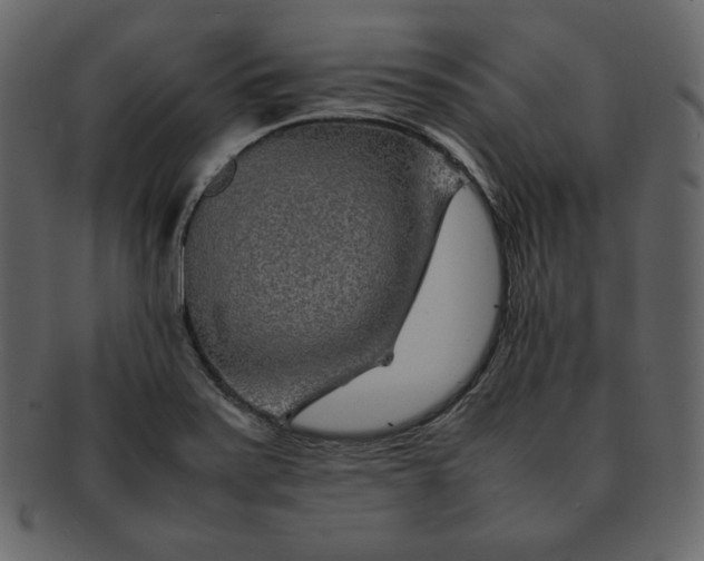 X0000092281371200710051135