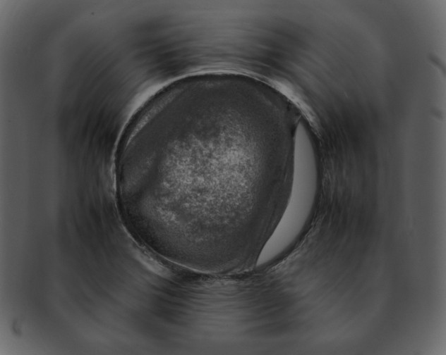 X0000092281372200710051135