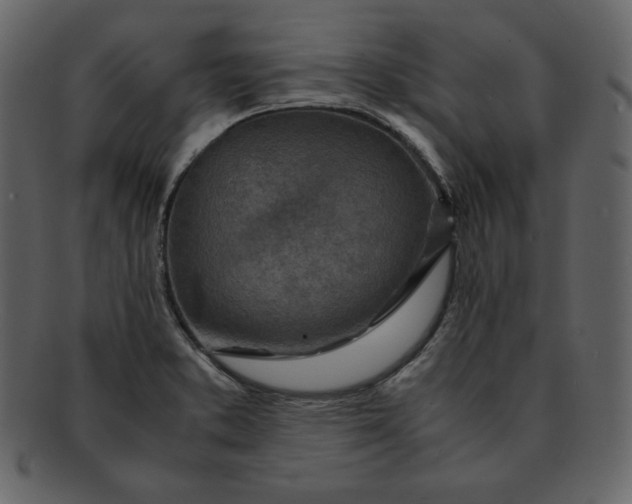 X0000092281373200710051135